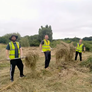 Three volunteers in yellow safety vests smiling and carrying bundles of cut grass with wooden pitchforks in a field bordered by trees.