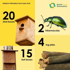 Infographic for Whaddon Farm Solar Park showing biodiversity enhancements: 20 bird boxes, 15 bat boxes, 2 hibernaculas, and 4 log piles, with images of a bird box, beetle, bat box, and log pile, and the British Solar Renewables logo.