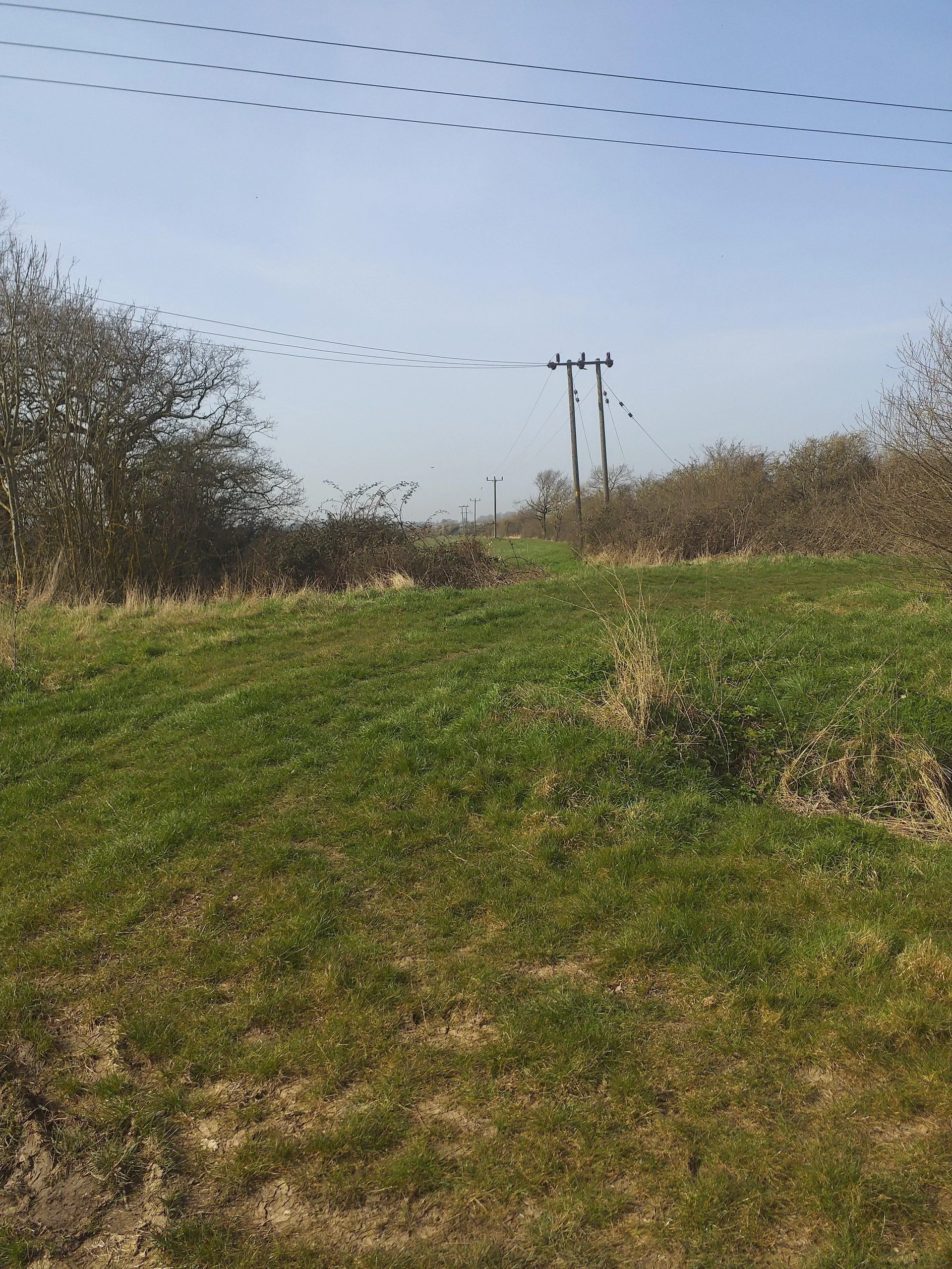 BSR Energy’s Dengie Solar Park Receives Planning Approval.