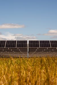 Rows of solar panels rise above a field of tall grass under a blue sky with scattered clouds, viewed from a low angle in front of the array.
