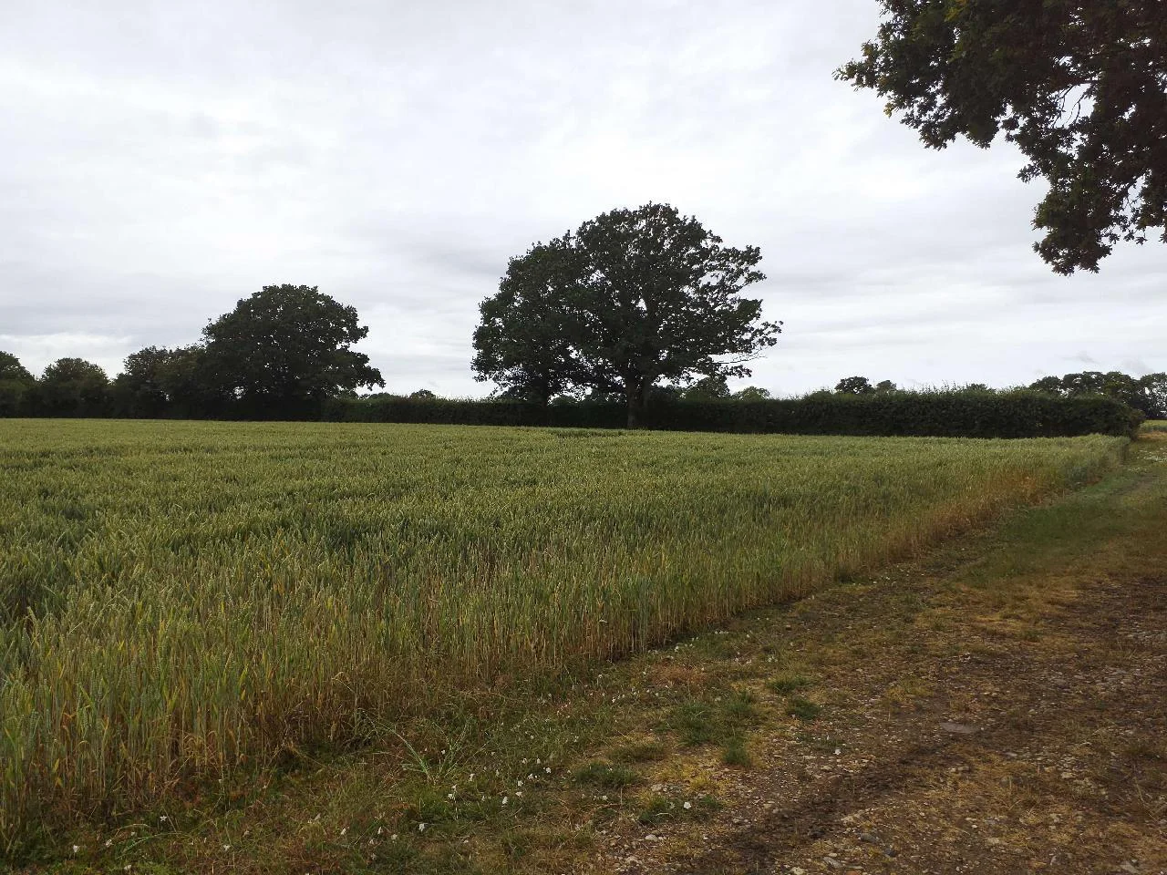 British Solar Renewables secures planning permission for two Solar Park’s to help tackle the climate crisis.