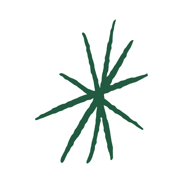 star-icon-CLEARSPACE